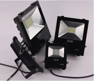 20W/30W/50W/80W/100W/150W/200W/300W Proyector LED COB/SMD